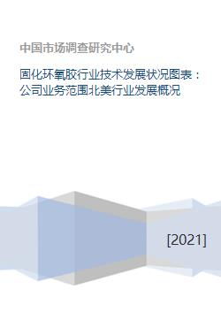 固化環(huán)氧膠行業(yè)技術發(fā)展狀況、業(yè)務范圍及北美市場概況